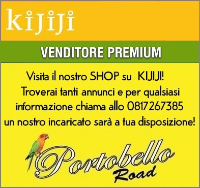 Kijiji Shop Portobello Road