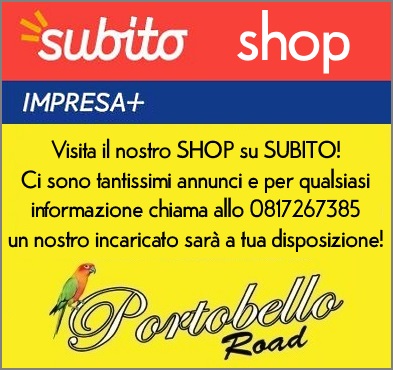 Subito Shop Portobello Road