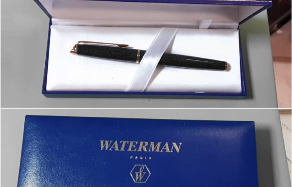 Penna stilografica Waterman