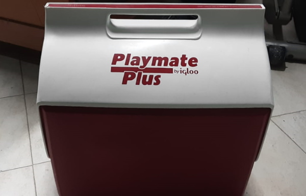 Playmate Plus by Igloo