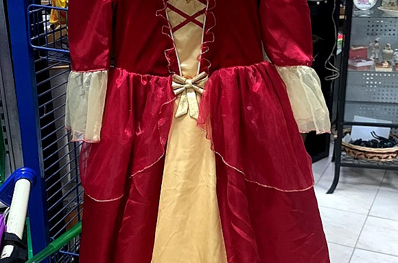 40094 Vestito di Carnevale Principessa Sissy